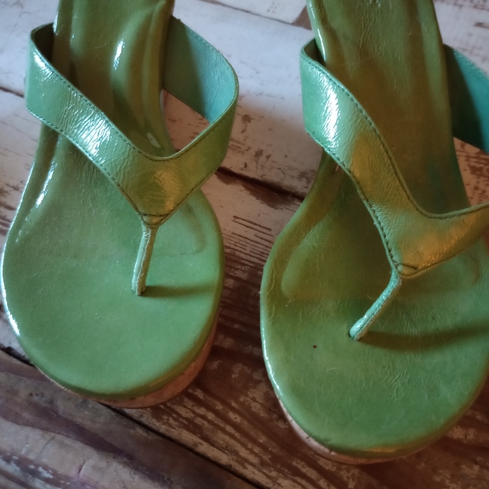 UGG Wedge Sandals